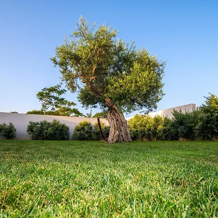 Apartment Giardini Sul Mare - *